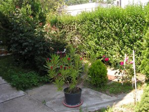 Így azért már jobb.