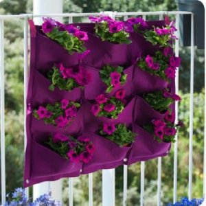 Többféle osztásban kapható. Infó: 0630-969-7228