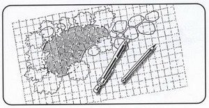 Tervezd meg a tó helyét a kertben, és válassz hozzá egy előregyártott tómedret a http://www.otthonodakert.hu/eloregyartott-tomedrek-k72445 oldalon
