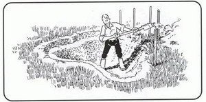 Kezdd el az ásást a tó legmélyebb pontján. Fokozatosan haladj kifelé. Az egyes mélységi részeknél mindig egyre kisebb mélységet áss ki. 