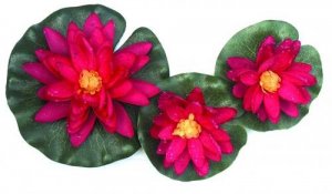 tavirozsa1_www.otthonodakert.hu