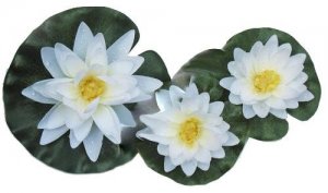 tavirozsa_www.otthonodakert.hu